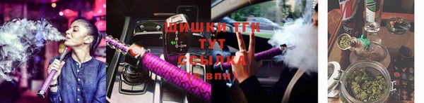 прущие грибы Алзамай