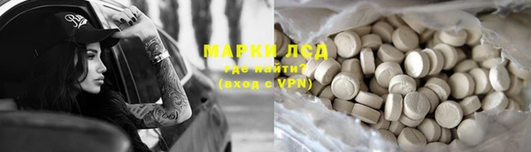 прущие грибы Алзамай
