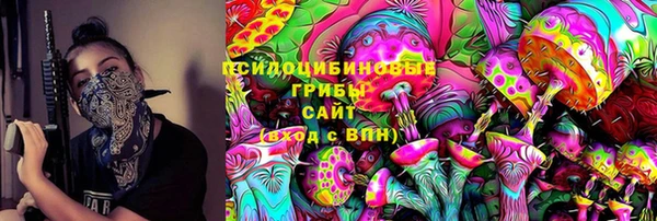 прущие грибы Алзамай