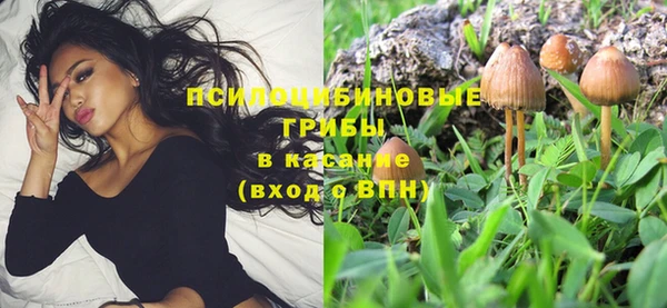 гашиш Абаза