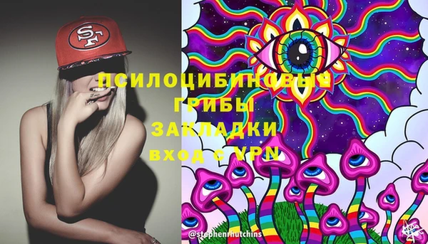 МДПВ Алексин